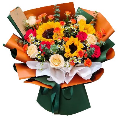 ����ɽ��Ϳ�ػ���